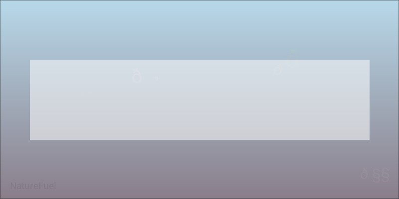 Transformez votre corps grâce à Keto Actives et sa formule révolutionnaire